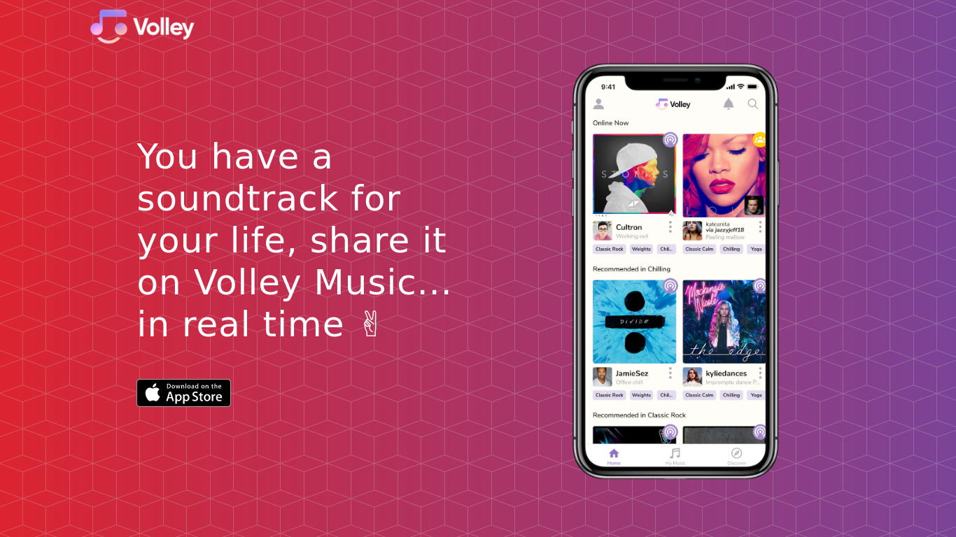 Volley Music Landing page