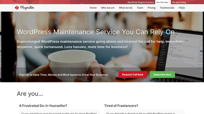 Plugmatter WordPress Support Service image
