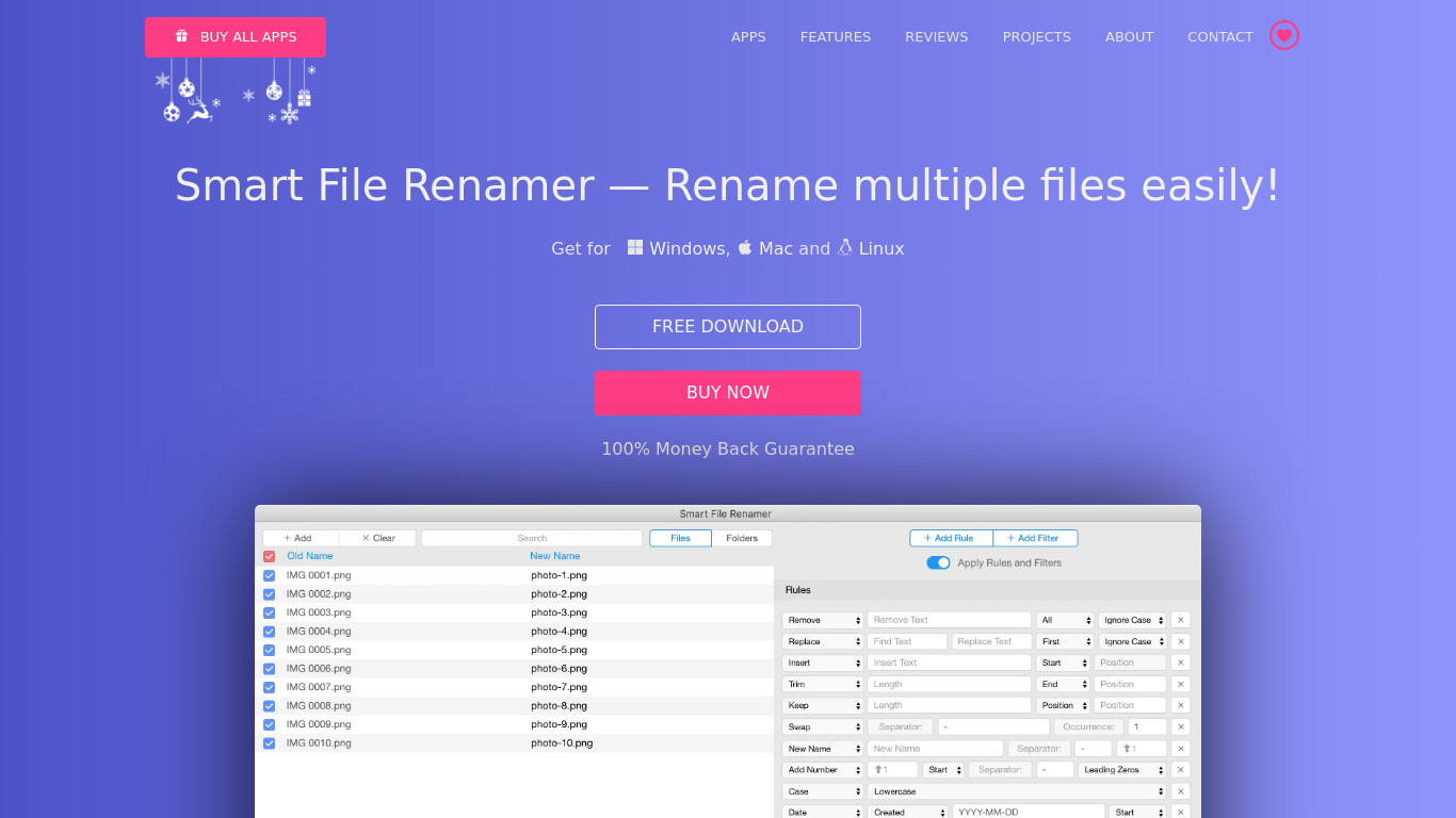 Qiplex Smart File Renamer Landing page