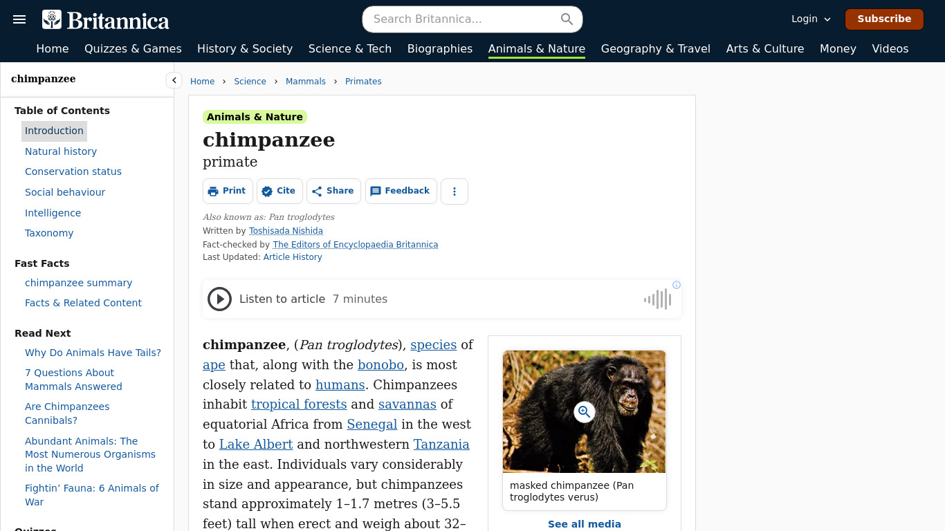 Chimpa Landing page