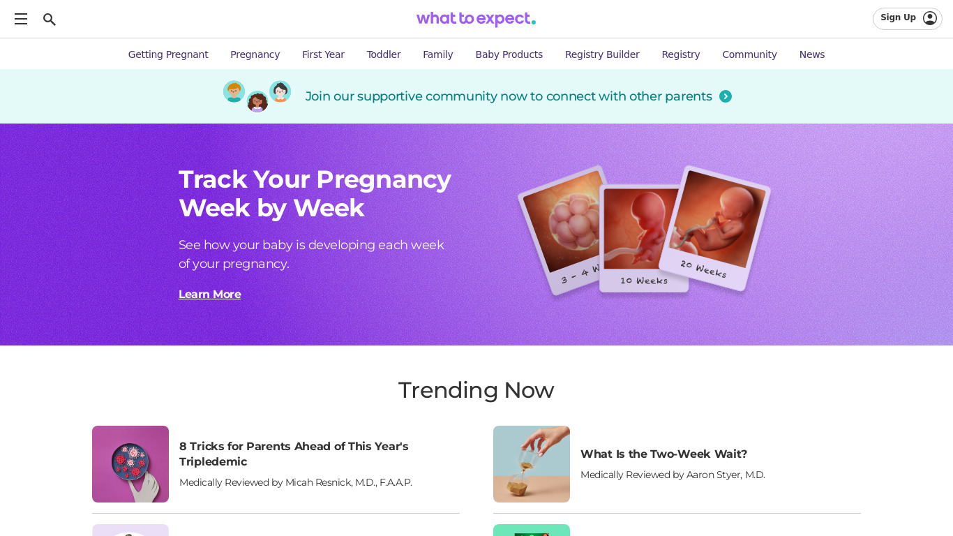 Pregnancy Tracker Landing page