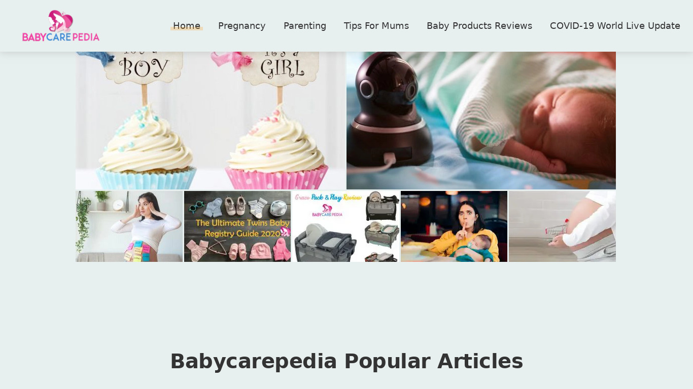 Thebabycarepedia.com Landing page
