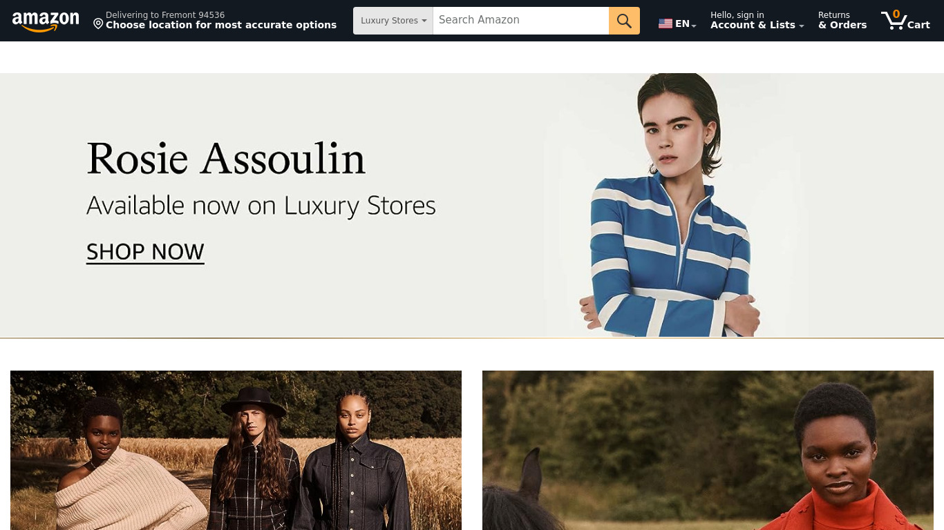 Amazon Luxury Stores Landing page