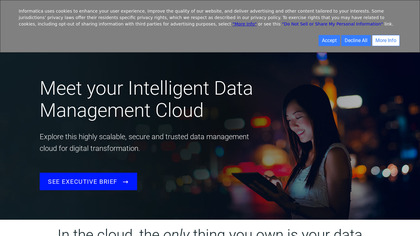 Informatica Intelligent Data Platform image
