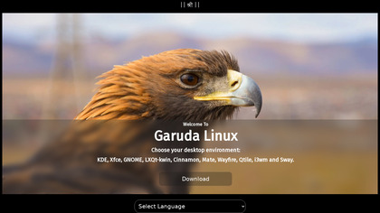 Garuda Linux image