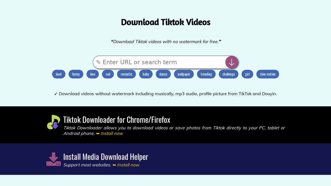 Download Tiktok Videos Landing page