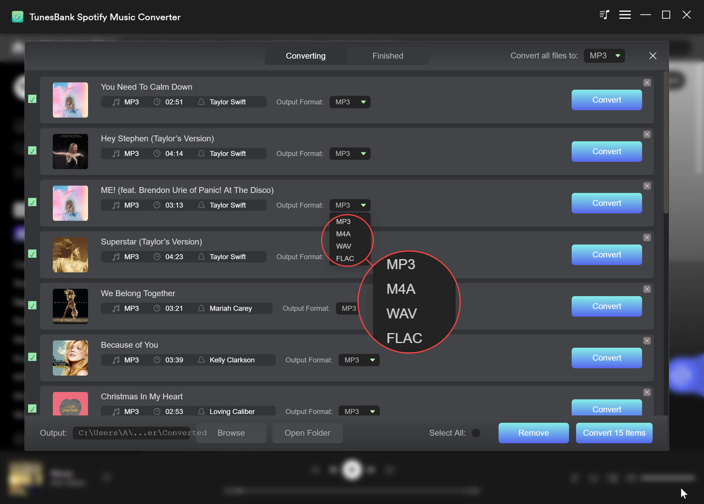 TunesBank Spotify Music Converter select output format