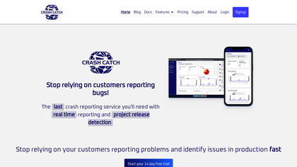 Crash Catch image