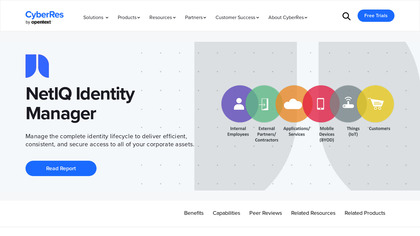 NetIQ Identity Manager image