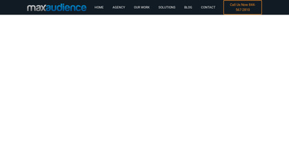 MaxAudience image