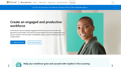 Microsoft Viva image