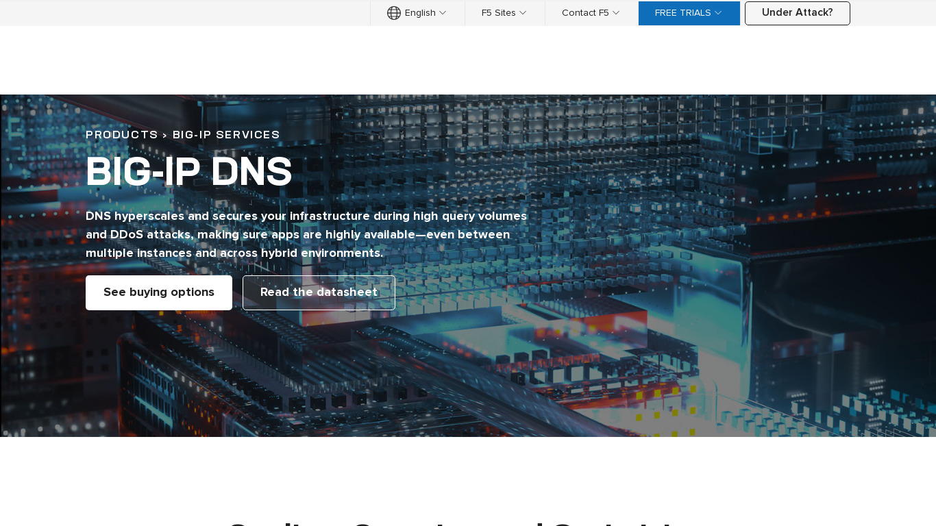 F5 DNS Delivery Landing page