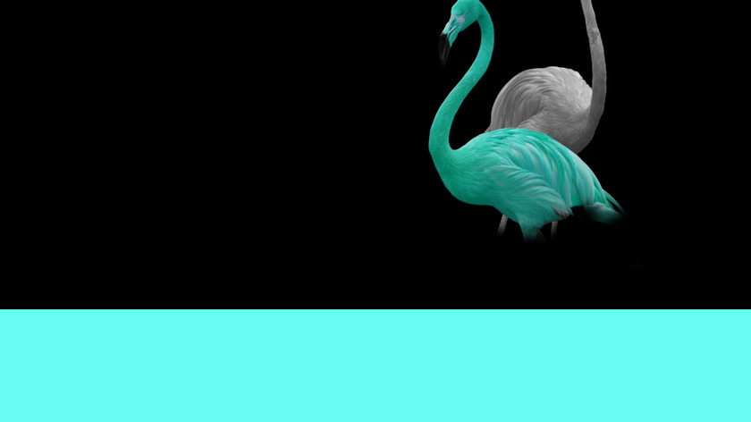 System Check Landing Page