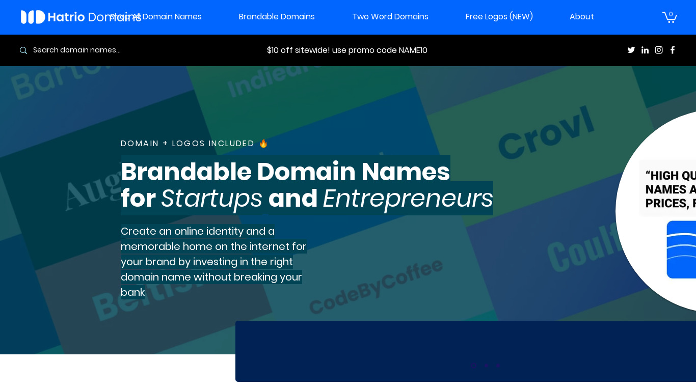 The Netly Domains Landing page