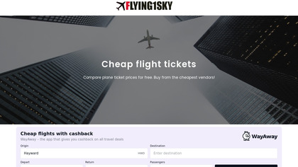 Flying1sky image