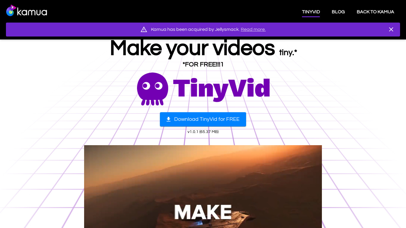 TinyVid by Kamua Landing page