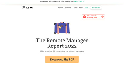 Remote Manager Report image