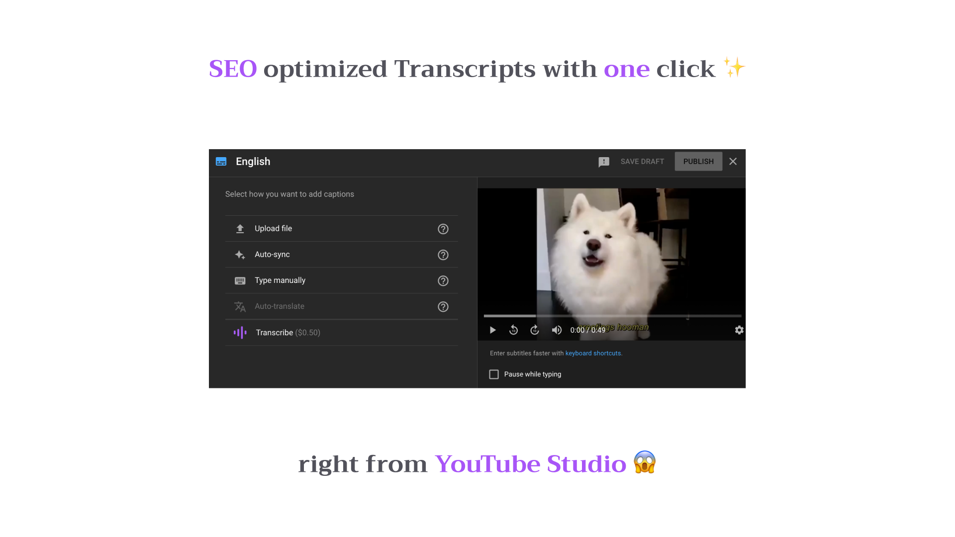 YouTube Transcripts Landing page