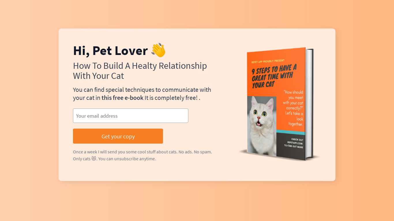 Healthy Relationship With Cats Landing page