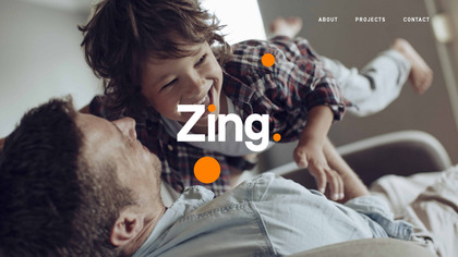 ZingProject image