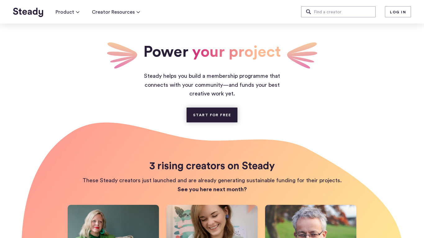 Steady HQ Landing page