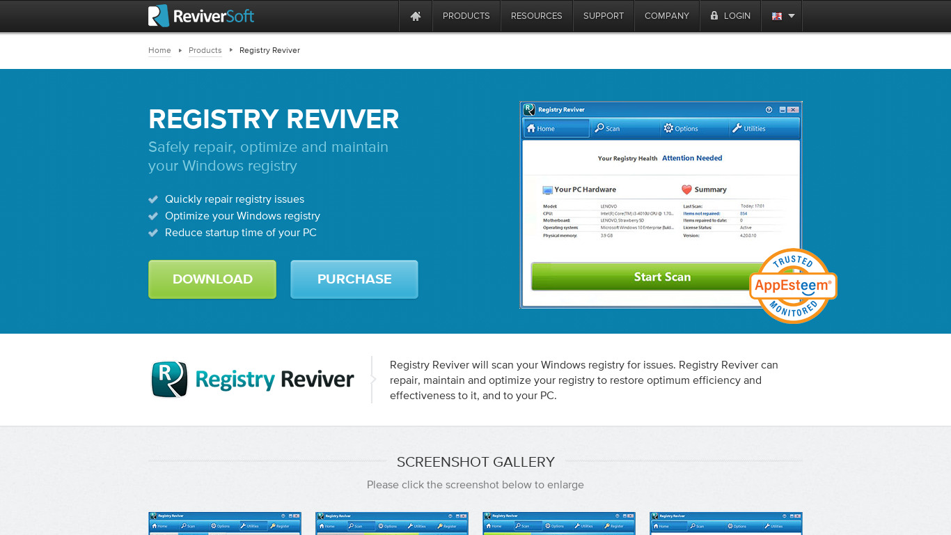 Registry Reviver Landing page