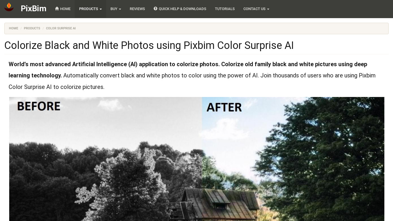 ColorSurprise AI Pixbim Landing page