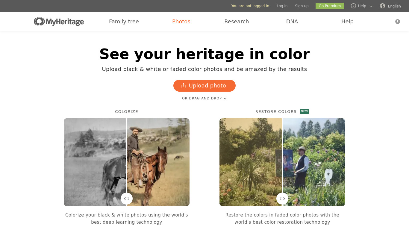 Myheritage In Color Landing page