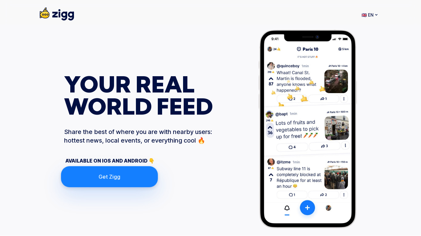 Zigg Landing page