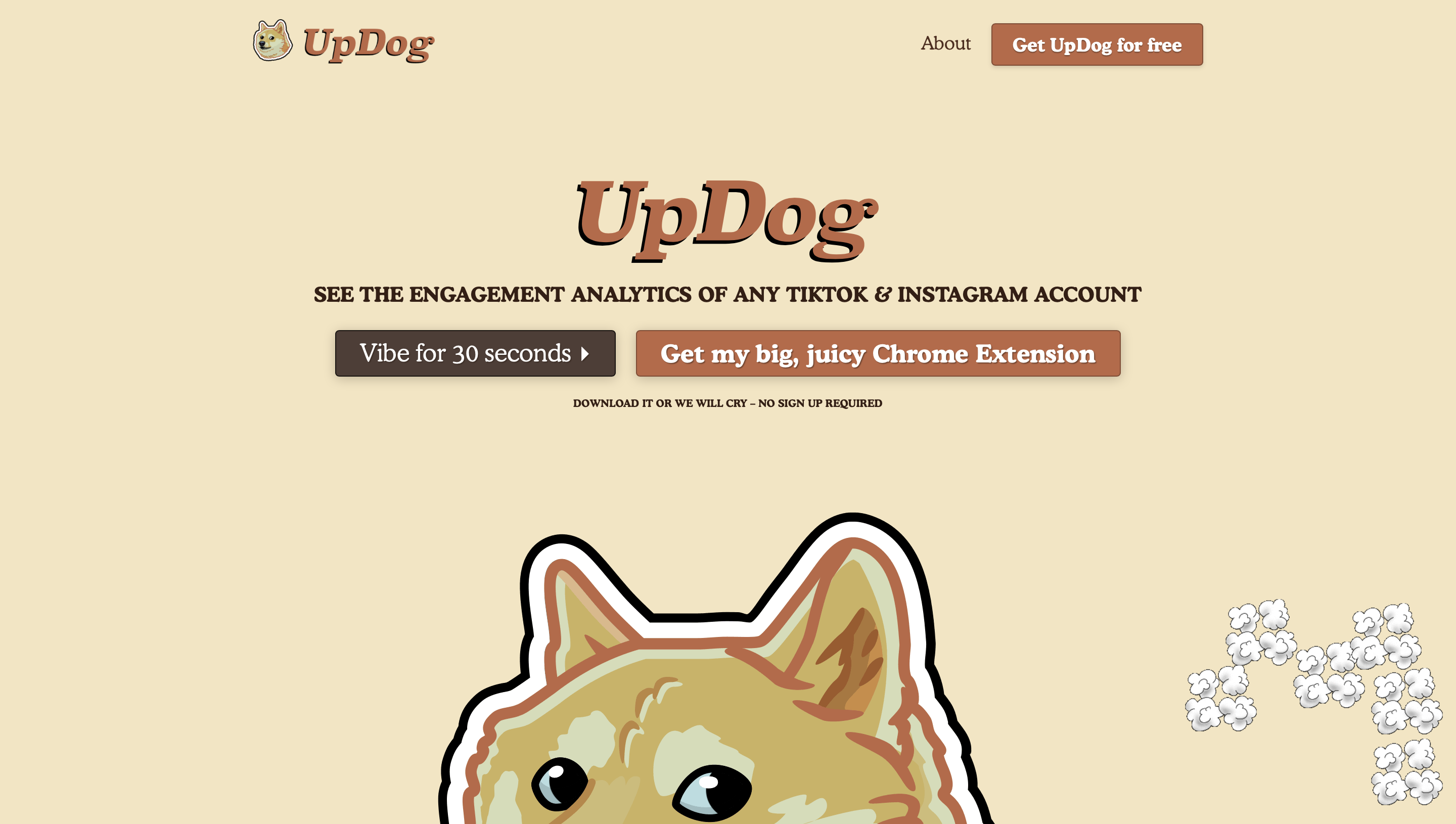 UpDog Influencer Analytics Landing page
