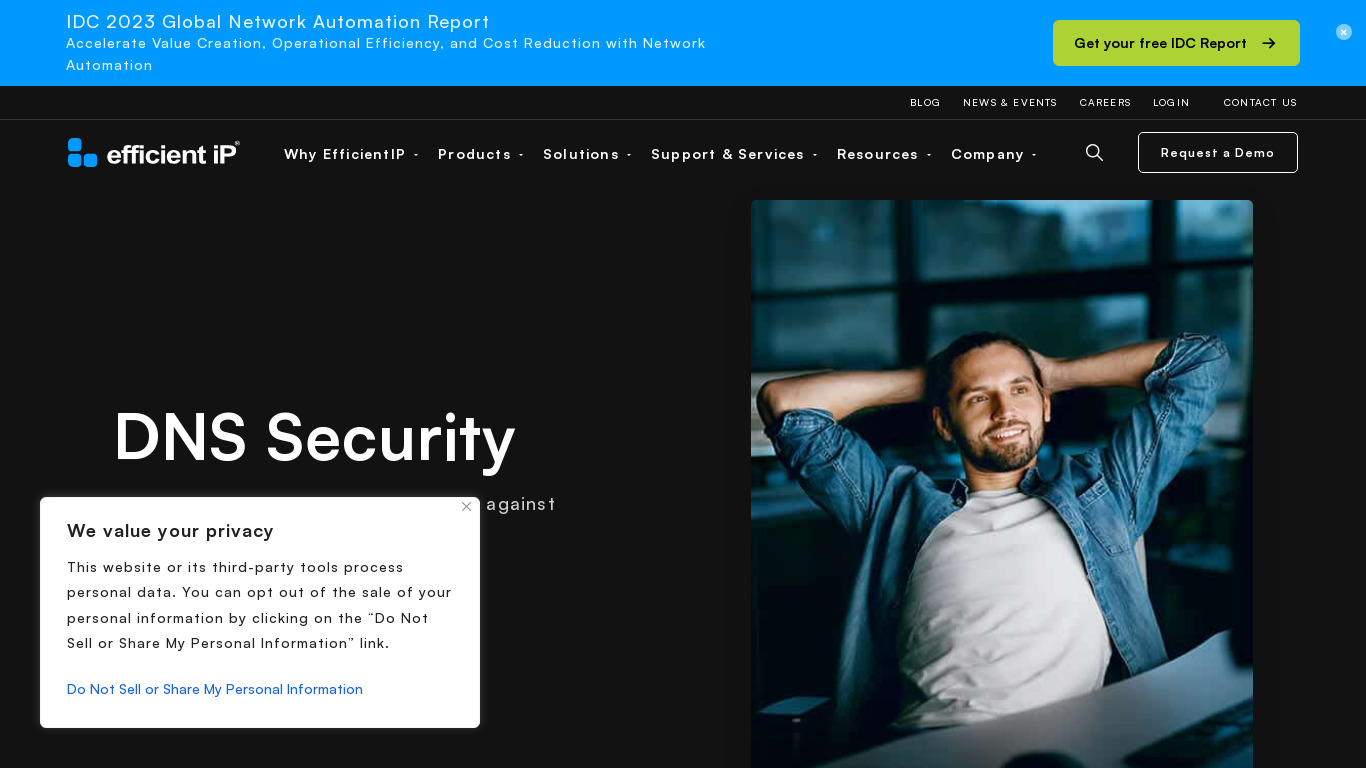 Efficient IP DNS Security Landing page