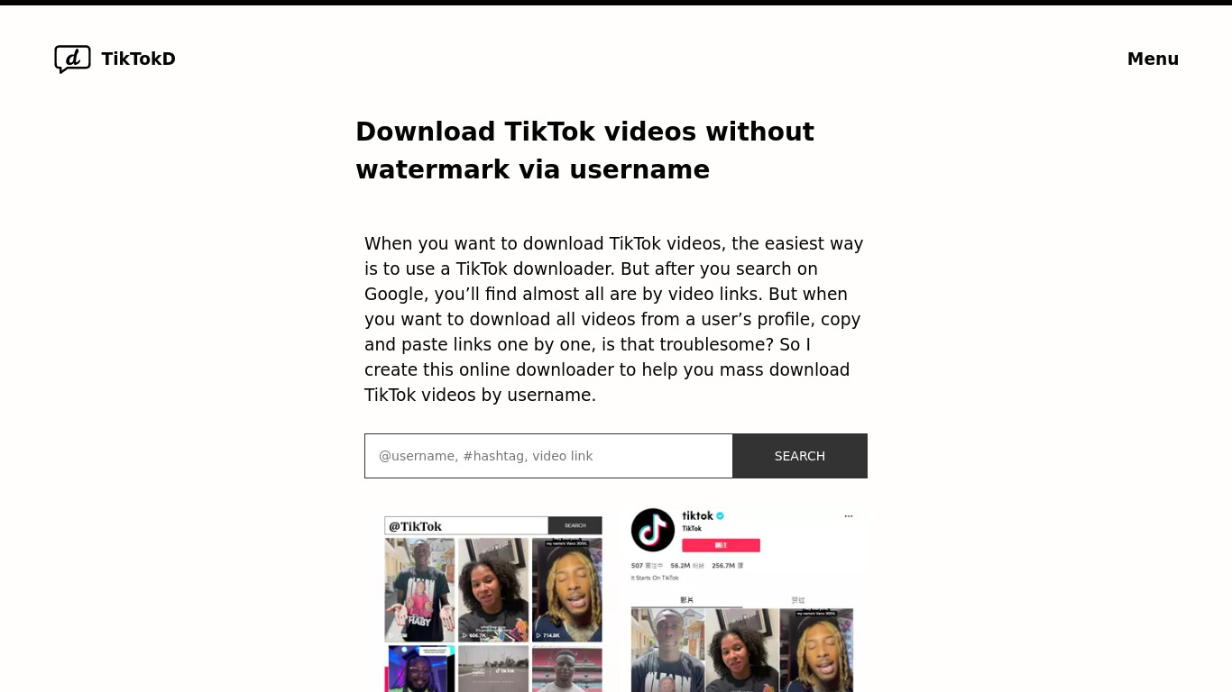TikTokD Landing page