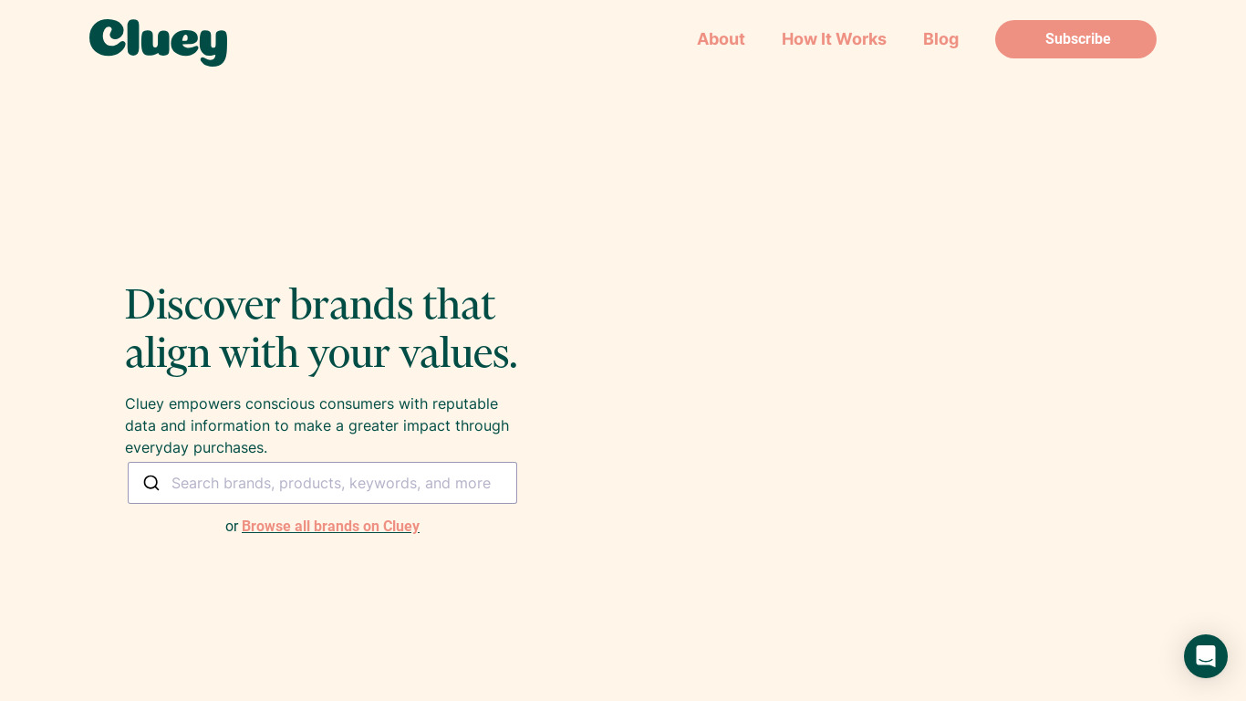Cluey Consumer Landing page