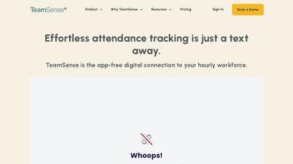 TeamSense image