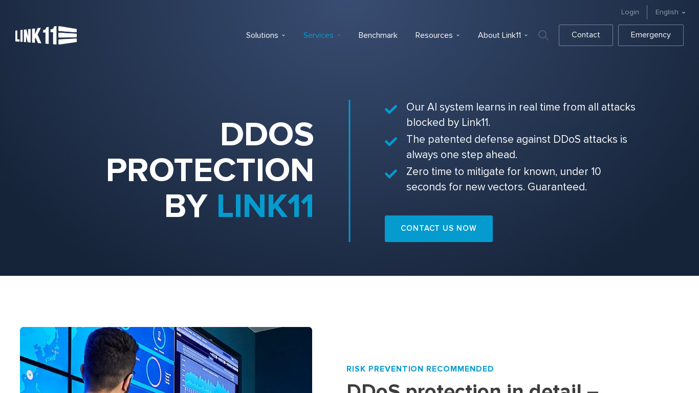 Link11 DDoS Landing page