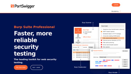 PortSwigger Burp Suite Professional screenshot