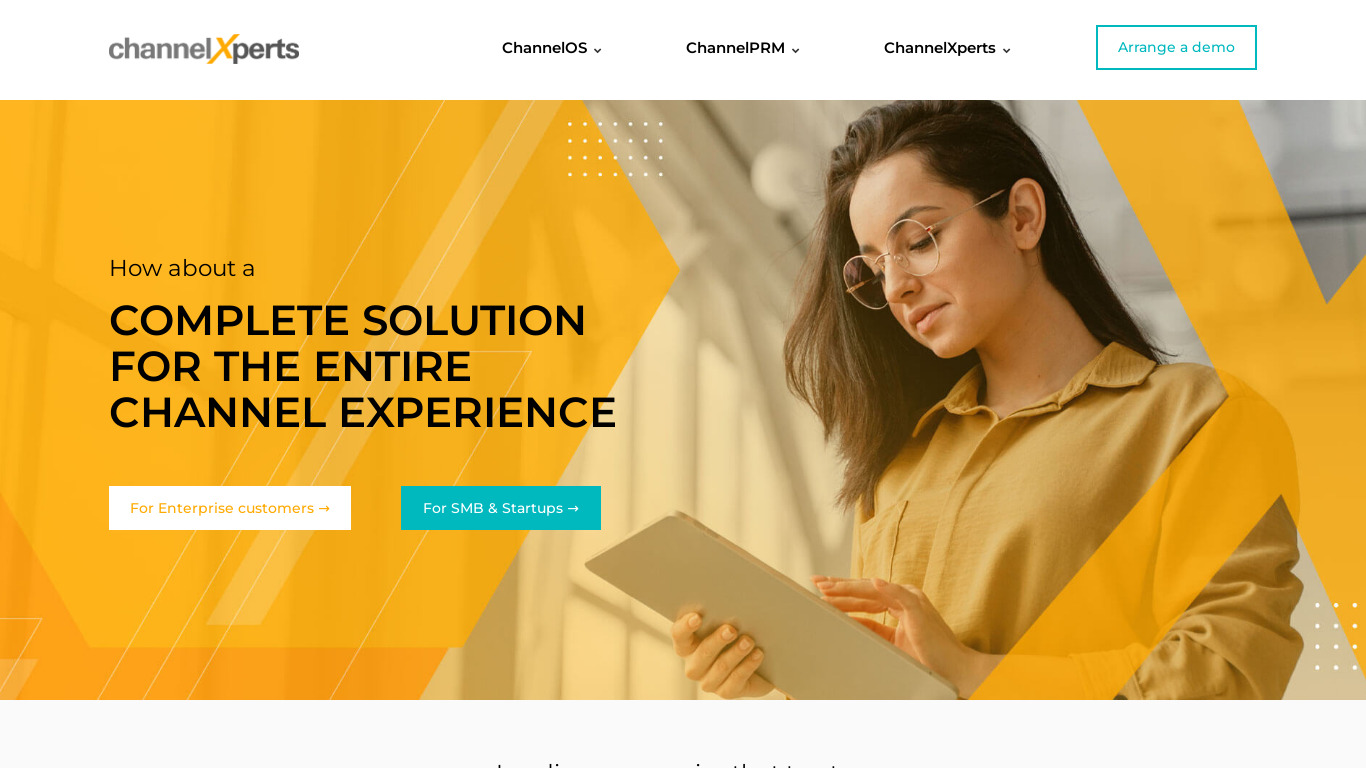 channelXperts Landing page