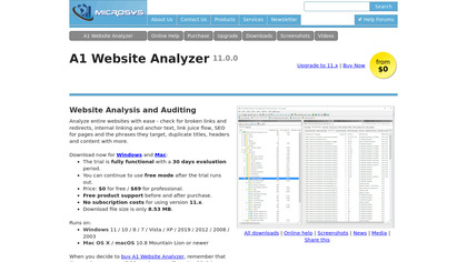 A1 Website Analyzer image