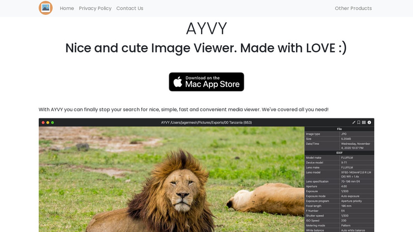 AYVY Landing Page