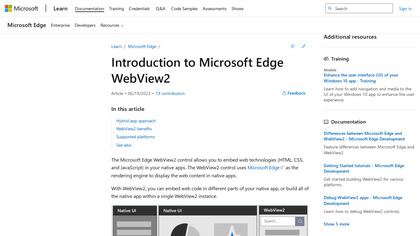 Microsoft Edge WebView2 image