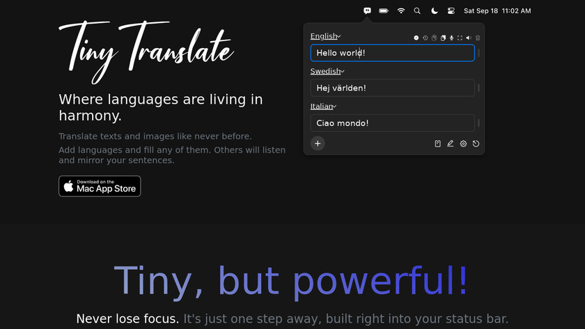 TinyTranslate Landing Page
