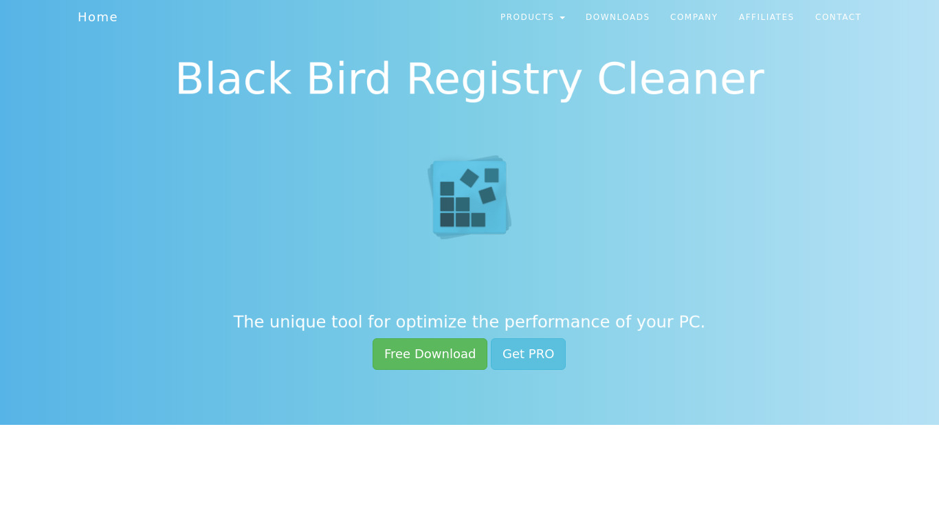 Black Bird Registry Cleaner Landing page