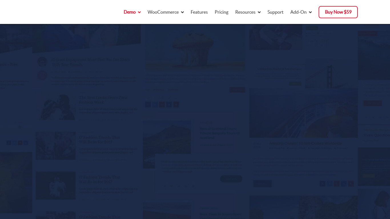 WPBlogDesigner.net Landing page
