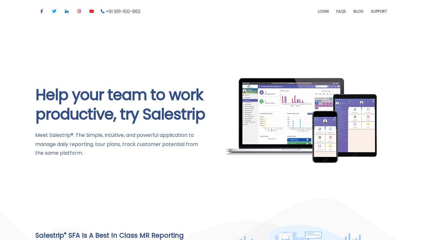 Salestrip.in Landing page