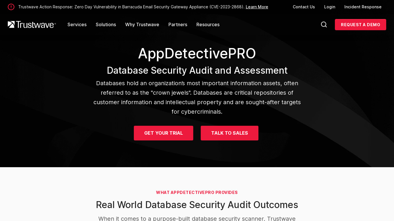 AppDetectivePRO Landing page