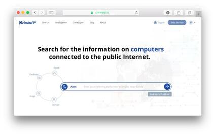 Criminal IP image