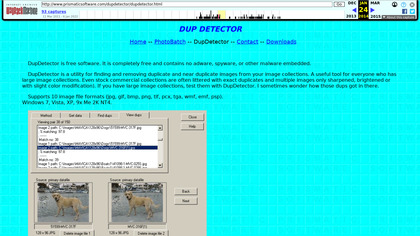 DupDetector image