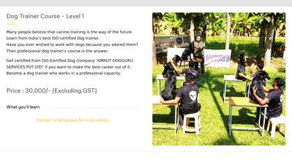 Dog Training image