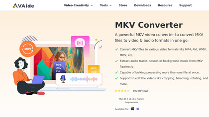 AVAide MKV Converter for Mac image
