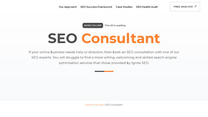 Ignite SEO image